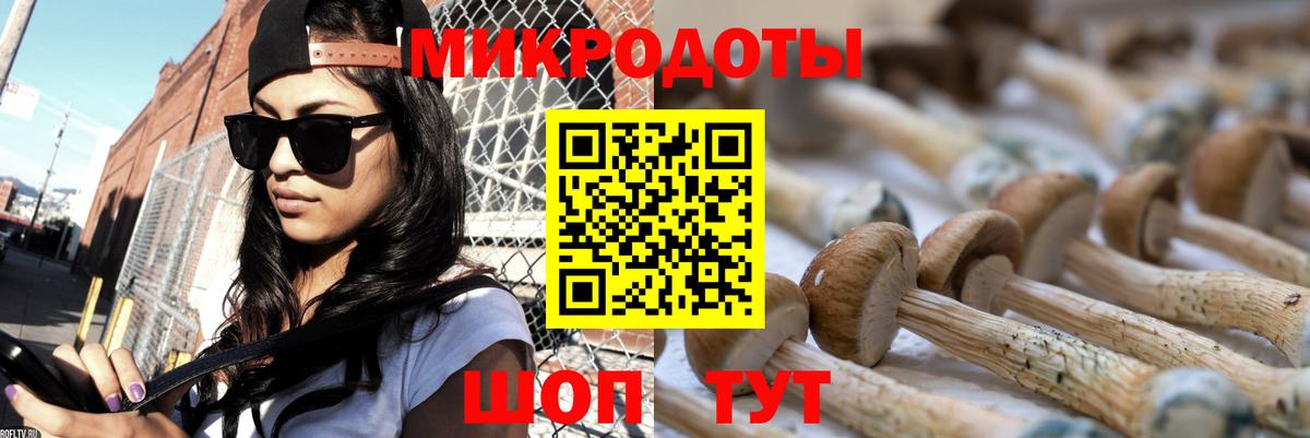 Галлюциногенные грибы мухоморы Лабинск